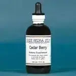 Cedar Berries (Juniperus) for Kidney, Digestive & Immune Support - Futures ETC Tincture