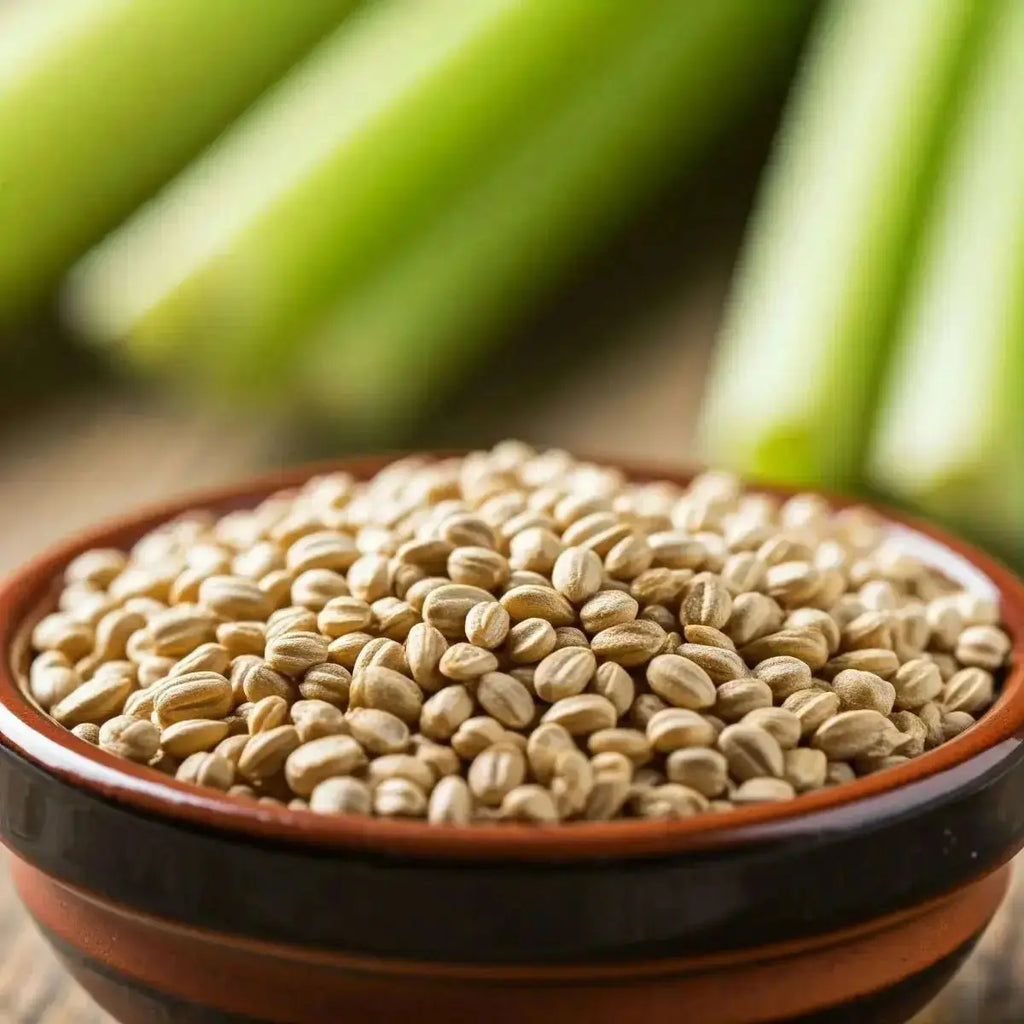 Celery Seed (Apium graveolens) - Futures ETC Tincture
