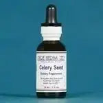 Celery Seed (Apium graveolens) - Futures ETC Tincture