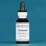 Chickweed (Stellaria media) - Futures ETC Tincture