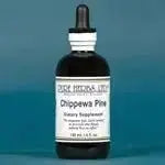 Chippewa Pine (Pinus strobus) - Futures ETC Tincture