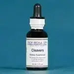 Cleavers (Galium aparine) for Lymphatic, Kidney & Skin Health - Futures ETC Tincture