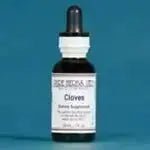 Cloves (Syzygium aromaticum) for Oral, Digestive & Immune Health - Futures ETC Tincture