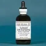 Cudweed (Gnaphalium) - Futures ETC Tincture