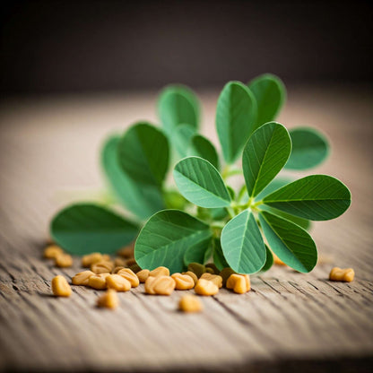 Fenugreek (Trigonella foenum graecum)