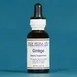 Ginkgo (Ginkgo biloba) - Futures ETC Tincture