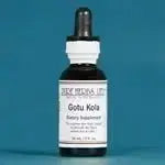 Gotu Kola (Centella asiatica) - Futures ETC Tincture