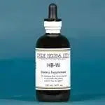 HB - W (Ginger, Gotu Kola, Indian Sarsaparilla, Sarsaparilla, Wild Rose Hips) - Futures ETC Tincture
