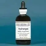 Hydrangea (Hydrangea aborescens) - Futures ETC Tincture