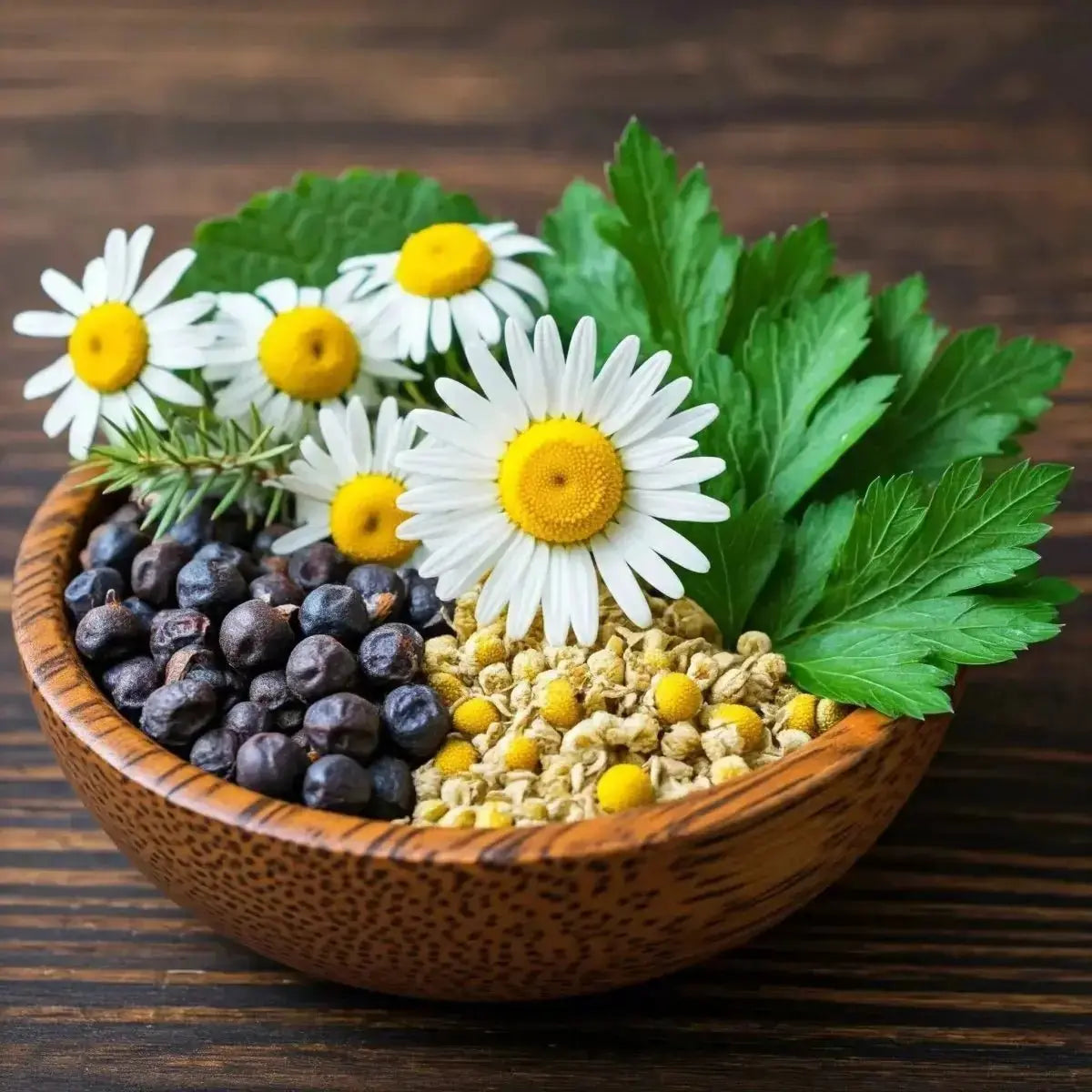 KID - W (Chamomile, Dandelion Root, Juniper Berries, Parsley, Uva Ursi) - Futures ETC Tincture