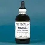 Mayapple / Mandrake (Podophyllum peltatum) - Futures ETC Tincture