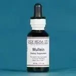 Mullein Leaf (Verbascum) - Futures ETC Tincture