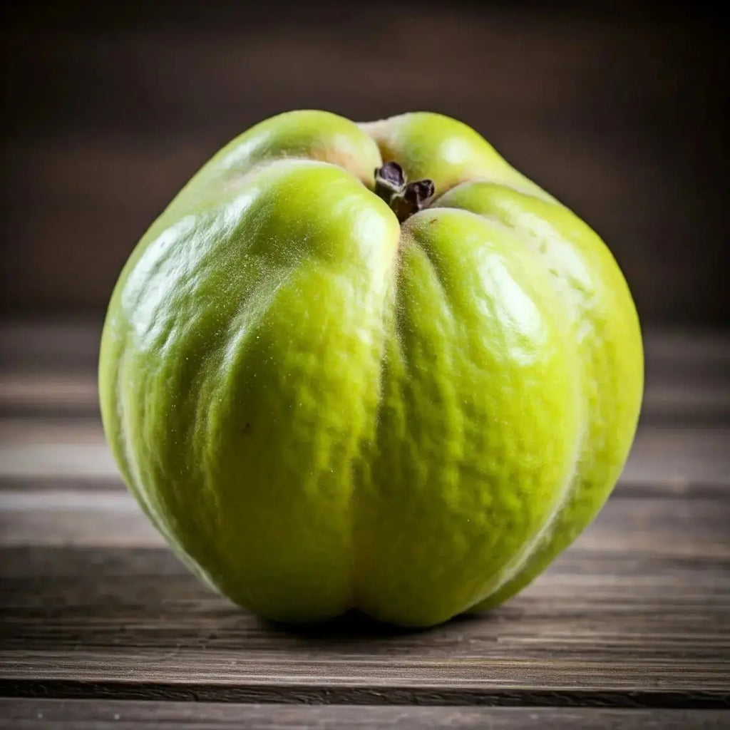 Quince (Cydonia oblonga) - Futures ETC Tincture