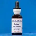 Quince (Cydonia oblonga) - Futures ETC Tincture
