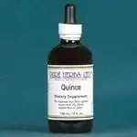 Quince (Cydonia oblonga) - Futures ETC Tincture