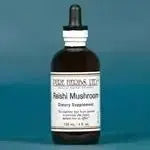 Reishi Mushroom (Ganoderma lucidum) - Futures ETC Tincture