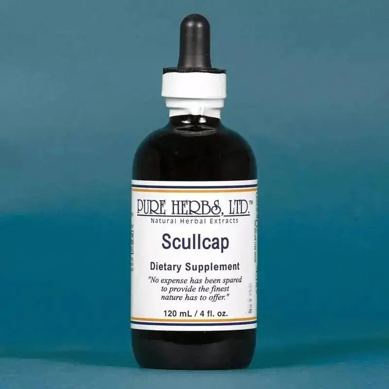 Scullcap (Scutellaria) - Futures ETC Tincture