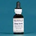 Sheep Sorrel (Rumex acestosella) - Futures ETC Tincture