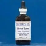 Sheep Sorrel (Rumex acestosella) - Futures ETC Tincture
