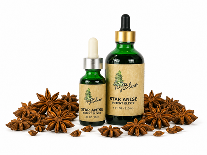 Two bottles of star anise elixir with star anise seeds on a white background
