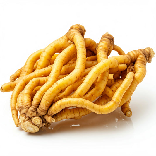 A close-up of a cluster of Rehmannia glutinosa roots. The roots are a pale yellow color and have a wrinkled, knobby texture. They are arranged in a tangled, intertwined pattern. The image is taken against a white background, which highlights the details of the roots.