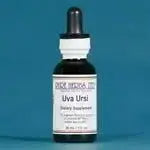 Uva Ursi (Arctostaphylos uva ursi) - Futures ETC Tincture