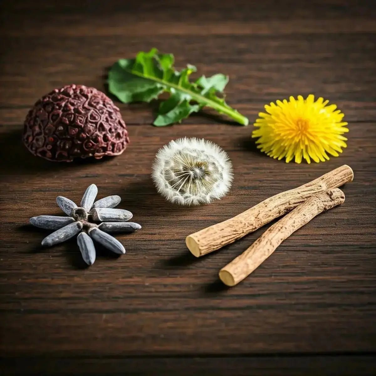 WL-W (Cascara Sagrada, Chickweed, Dandelion Leaf, Dulse, Gentian, Indian Sarsaparilla, Licorice Root) - Futures ETC Tincture