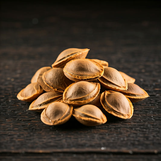 Whole Apricot Kernels (Prunus)