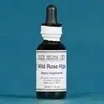 Wild Rose Hips (Rosa canina) - Futures ETC Tincture
