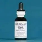 Wood Betony (Stachys officinalis) - Futures ETC Tincture