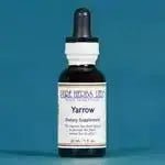 Yarrow (Achillea millefolium) - Futures ETC Tincture