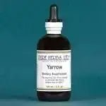Yarrow (Achillea millefolium) - Futures ETC Tincture
