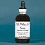 Yucca - Futures ETC Tincture