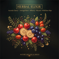 Acerola Cherry, Astragalus Root, Bilberry, Black Currant & Wild Rose Hips Tincture