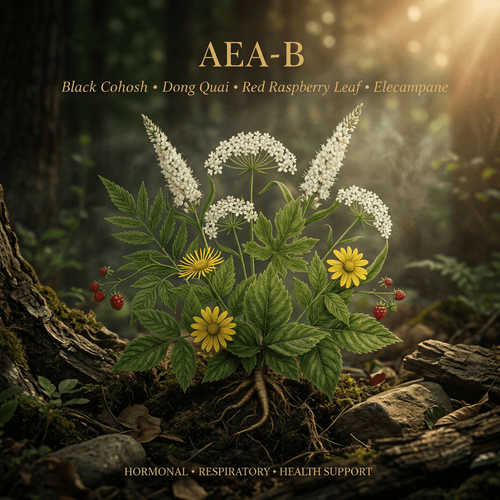 AEA-B editorial image in the saved golden-lit woodland style