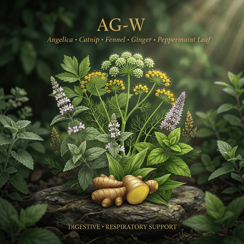 AG-W editorial image in golden botanical light