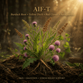 AIF-T editorial image in the saved golden-lit woodland style