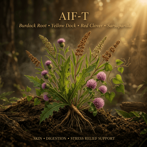 AIF-T editorial image in the saved golden-lit woodland style
