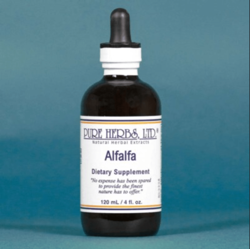 Alfalfa (Medicago sativa) – Nutritive, Digestive & Alkalizing Support, Tincture, Futures ETC