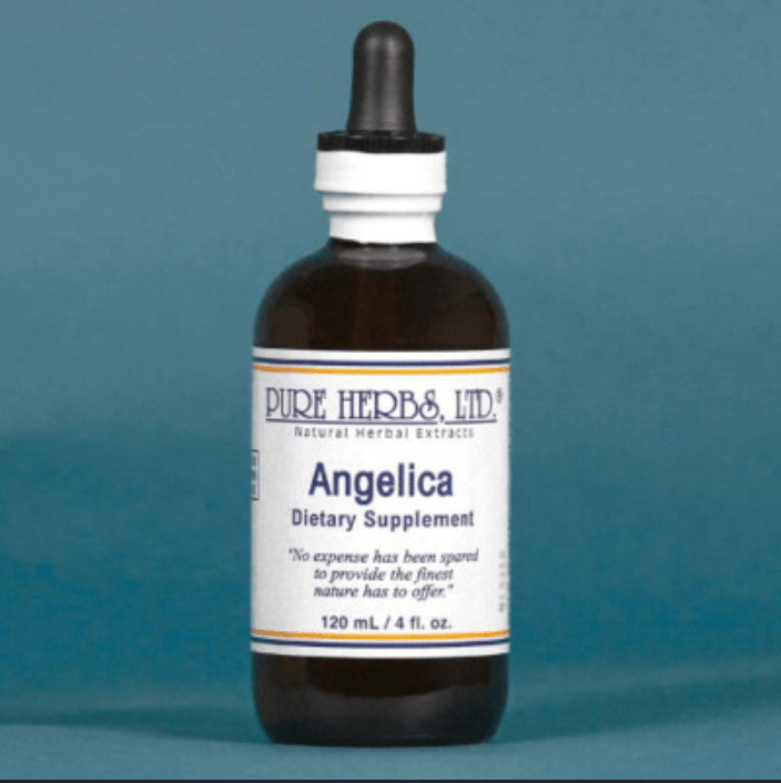 Angelica (Angelica archangelica) – Digestive, Respiratory & Stress Relief, Tincture, Futures ETC