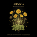 Arnica (Heterotheca inuloides) – Pain Relief, Anti-Inflammatory & Nerve Support, Tincture, Futures ETC