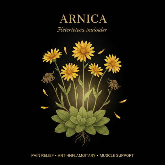 Arnica (Heterotheca inuloides) – Pain Relief, Anti-Inflammatory & Nerve Support, Tincture, Futures ETC