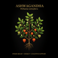 Ashwagandha (Withania somnifera) – Stress Relief, Energy & Cognitive Support, Tincture, Futures ETC