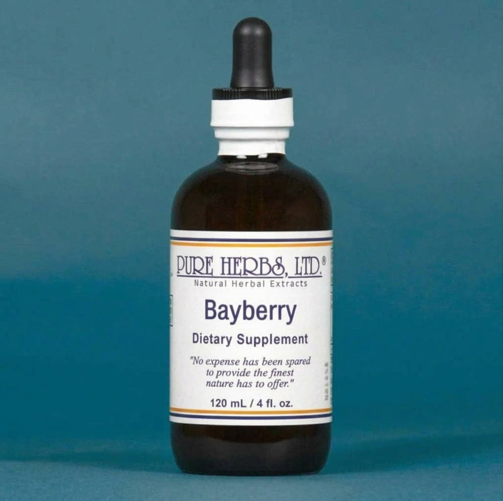 Bayberry (Myrica cerifera) – Sinus, Respiratory & Astringent Support, Tincture, Futures ETC
