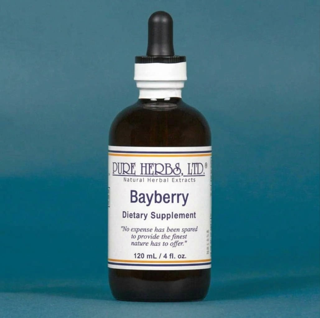 Bayberry (Myrica cerifera) – Sinus, Respiratory & Astringent Support, Tincture, Futures ETC