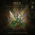 B&B-W botanical editorial image with gold serif text