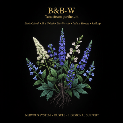 B&B - W – Nervous System & Muscle Support | Black Cohosh, Blue Cohosh, Blue Vervain, Indian Tobacco & Scullcap, Tincture, Futures ETC