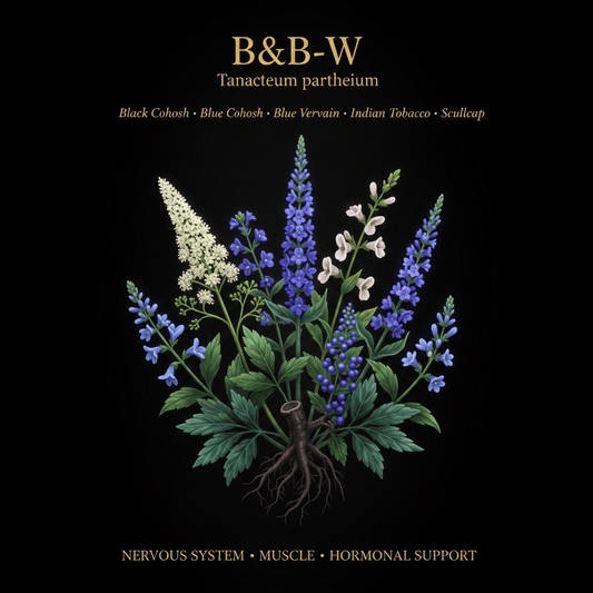 B&B - W – Nervous System & Muscle Support | Black Cohosh, Blue Cohosh, Blue Vervain, Indian Tobacco & Scullcap, Tincture, Futures ETC