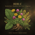 BDR-C botanical editorial image with gold serif text