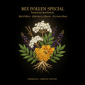 Bee Pollen Special – Hormonal & Immune Support | Elderberry Flower & Licorice Root, Tincture, Futures ETC